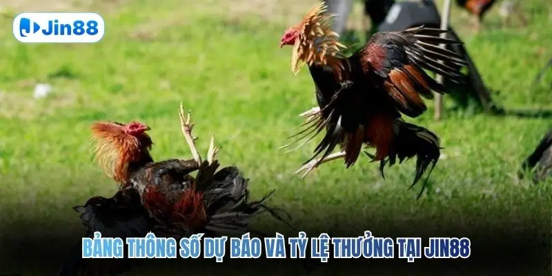 Đá Gà Thomo JIN88 – Quy Tụ 10+ Trận Đấu Mỗi Ngày - hình ảnh - jin88.it.com Đá Gà Thomo JIN88 – Quy Tụ 10+ Trận Đấu Mỗi Ngày - hình ảnh - jin88.it.com