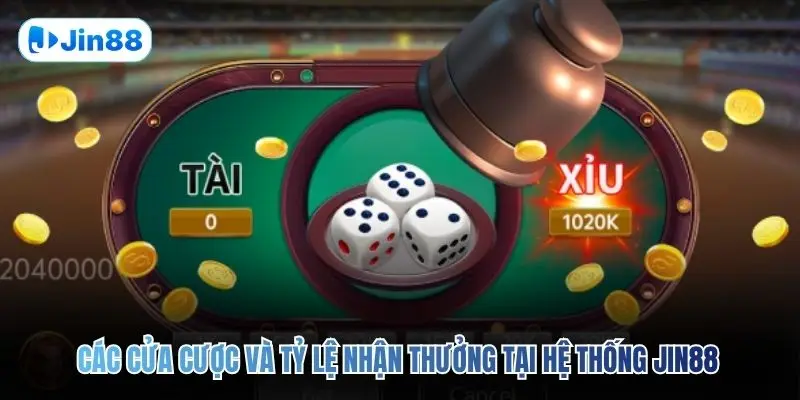 Tài Xỉu JIN88 – Top 5 Bí Quyết Để Về Bờ An Toàn 2026 - hình ảnh - jin88.it.com Tài Xỉu JIN88 – Top 5 Bí Quyết Để Về Bờ An Toàn 2026 - hình ảnh - jin88.it.com