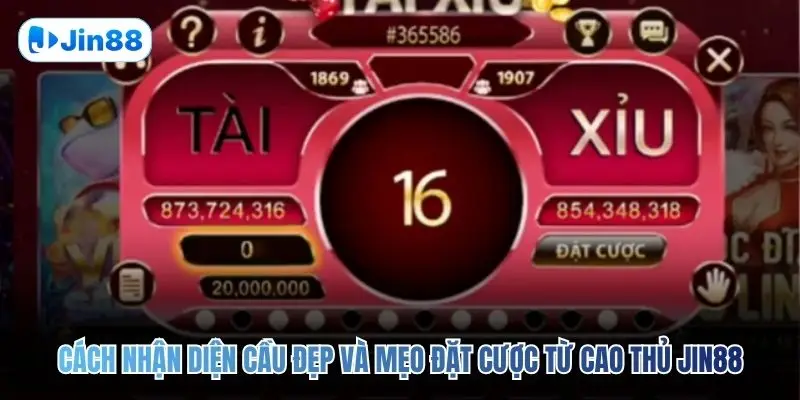 Tài Xỉu JIN88 – Top 5 Bí Quyết Để Về Bờ An Toàn 2026 - hình ảnh - jin88.it.com Tài Xỉu JIN88 – Top 5 Bí Quyết Để Về Bờ An Toàn 2026 - hình ảnh - jin88.it.com