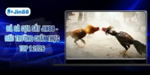 jin88hvcam – Jin88| Nhà cái chính thức jin88.com đăng ký thành viên mới nhận thưởng 886k - hình ảnh - jin88.it.com