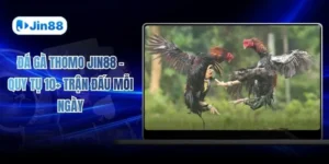 jin88hvcam – Jin88| Nhà cái chính thức jin88.com đăng ký thành viên mới nhận thưởng 886k - hình ảnh - jin88.it.com